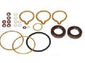 Gasket kit CP 1, Iveco