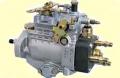 Bosch rotary pumps